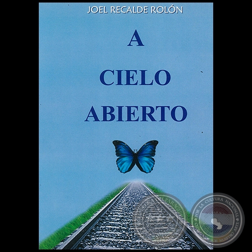 A CIELO ABIERTO, 2014 - Novela de JOEL RECALDE ROLN